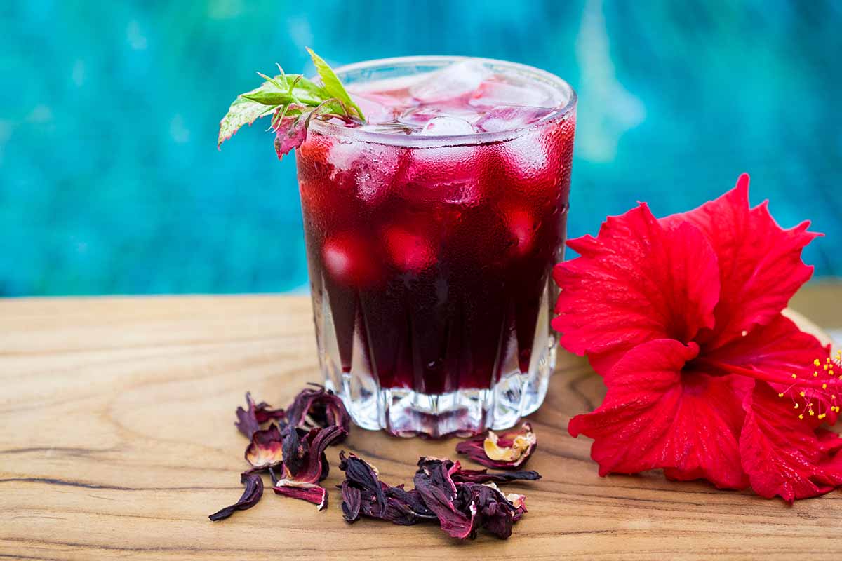 A close up horizontal image of a glass of iced tea with a flower set beside it on a wooden surface.