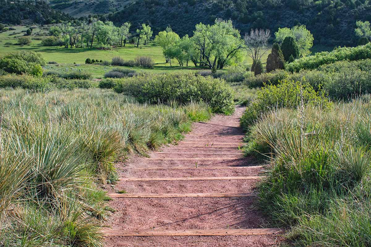 A horizontal image of crushed gravel steps leading down into a lush green valley.