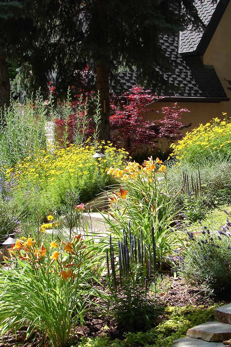 A vertical image of a xerophytic garden outside a residence.