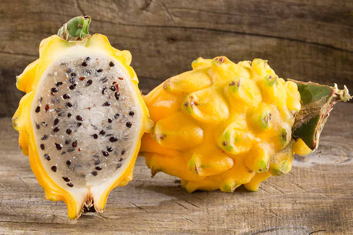 A close up horizontal image of a yellow dragon fruit sliced in half to show the flesh and skin inside, set on a wooden surface.