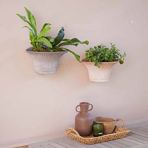 A square image of two fluted hanging wall pots with a wicker tray and bottle on a wooden surface below.