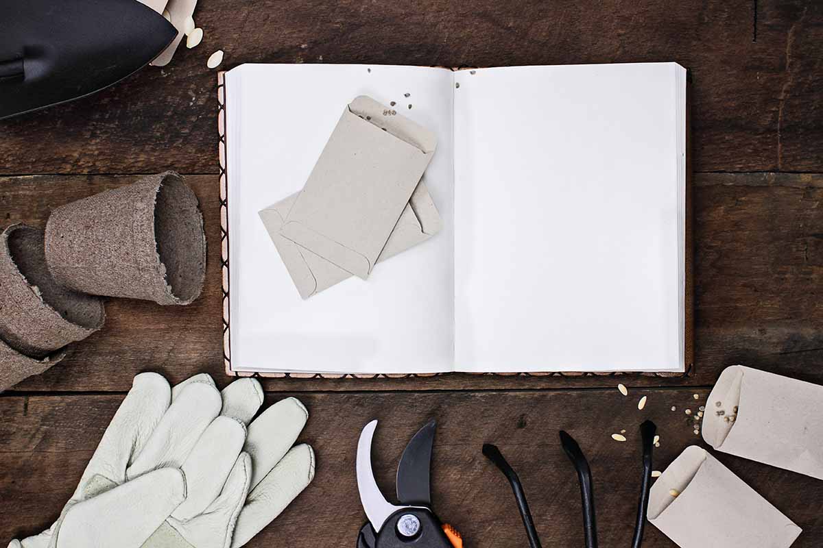 A top down picture of an open book with blank pages, and seed packets on top of it, to the left are some small planing pots, and to the bottom of the frame are gardening gloves, pruning shears, and a hand cultivator, set on a rustic wooden surface.