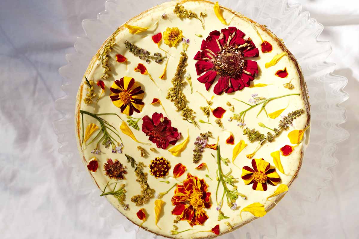 A close up horizontal image of a cheesecake decorated with edible flowers.