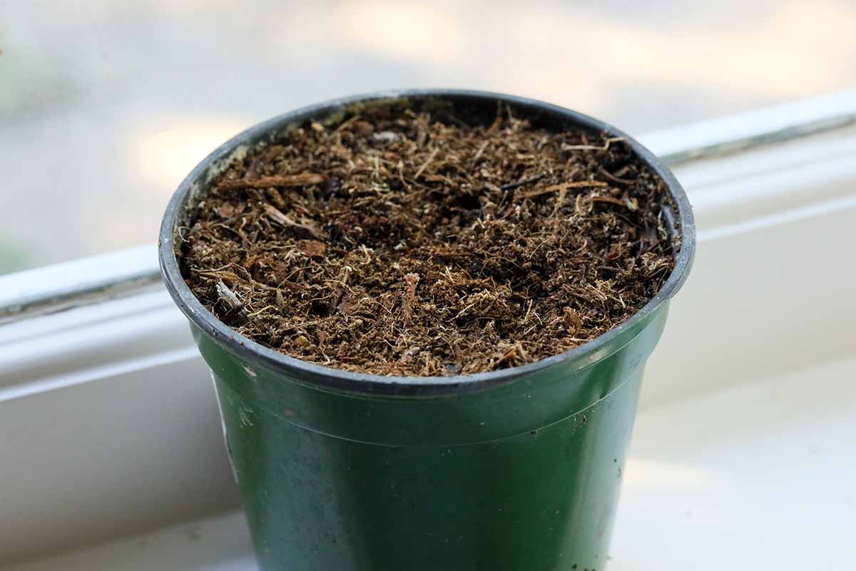 A close up horizontal image of a green plastic plant pot filled with soil set on a windowsill.