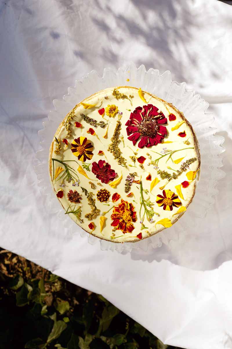 A close up top down vertical image of a cheesecake decorated with edible flowers.