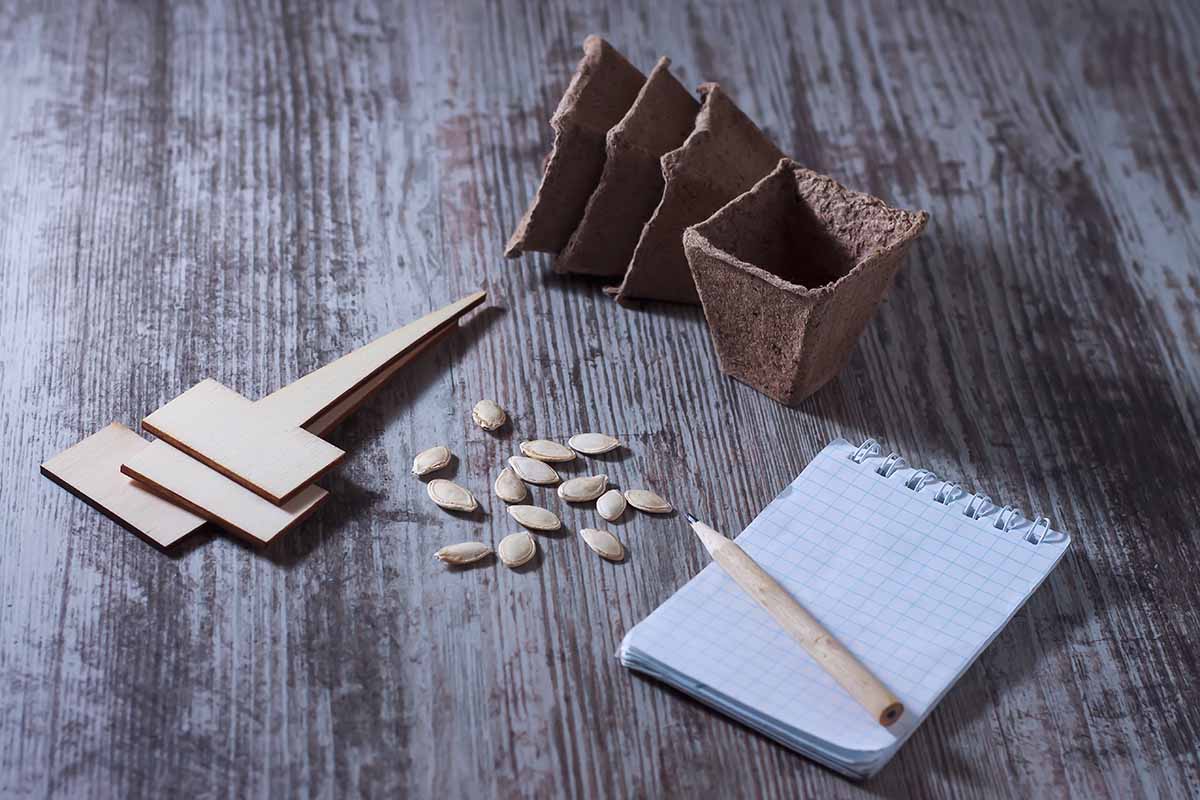 A close up of a small notepad and pencil set on a rustic wooden surface with some seeds and planting pots to the left and top of the frame.