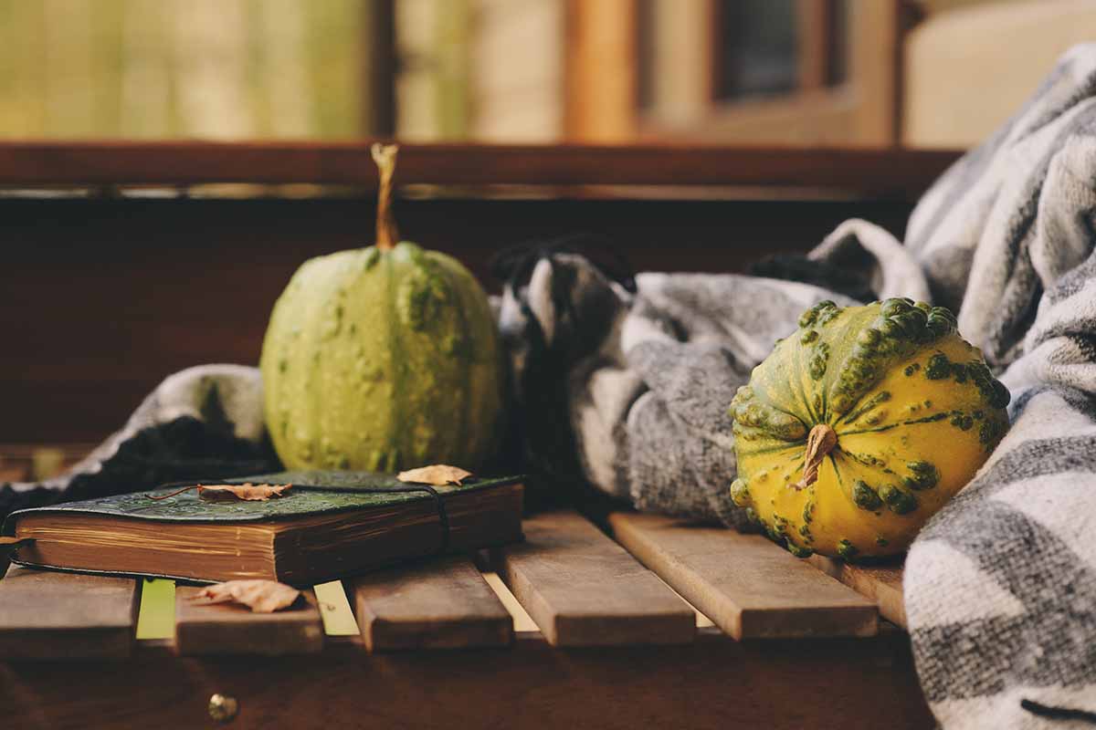 A fall scene with two gourds, a rustic notebook, and a blanket, set on a wooden surface on a soft focus background.