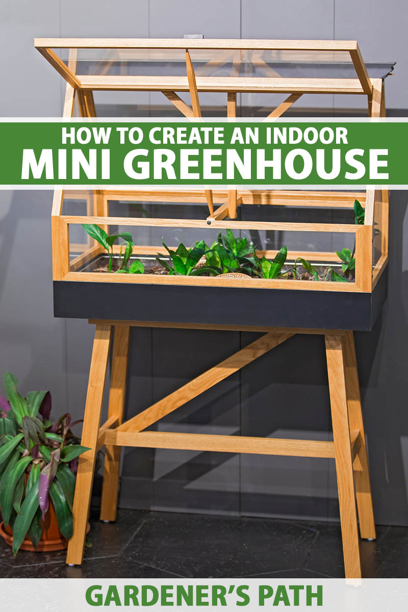 A close up vertical image of an indoor mini greenhouse garden made from wood. To the top and bottom of the frame is green and white printed text.