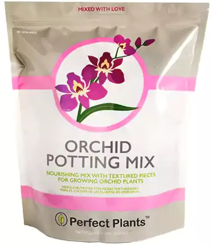 A close up of the packaging of Perfect Plants Orchid Potting Mix isolated on a white background.