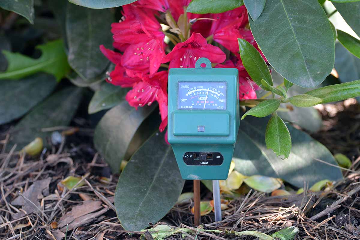 A close up horizontal image of a moisture and pH meter stuck in the ground to test the soil.