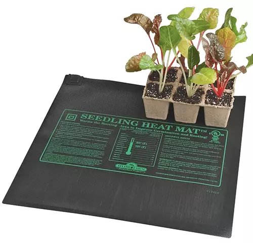 A close up of a heat mat with a tray of Swiss chard seedlings set on top of it isolated on a white background.