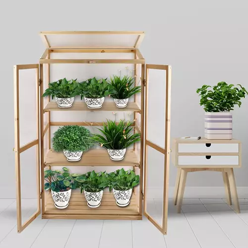 A square image of a wooden mini structure with three shelves growing a selection of different plants.