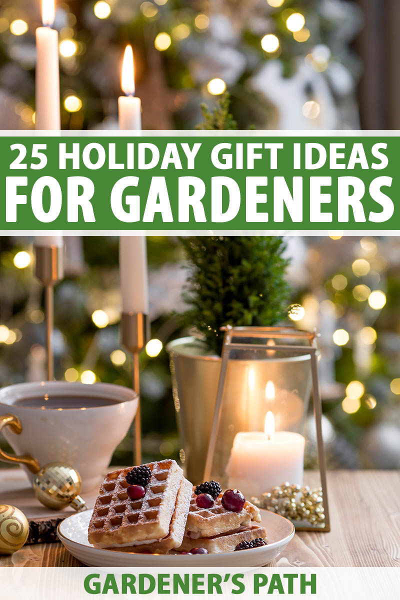 25 of the Best Holiday Gift Ideas for Gardeners 2022 - 32