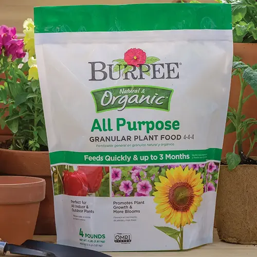 A close up of a bag of Burpee Natural and Organic All Purpose Granular Plant Food with terra cotta pots in the background.