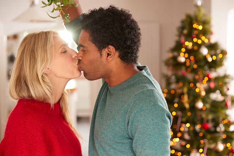 A horizontal image of a couple kissing underneath a sprig of mistletoe with a brightly decorated Christmas tree in soft focus in the background.