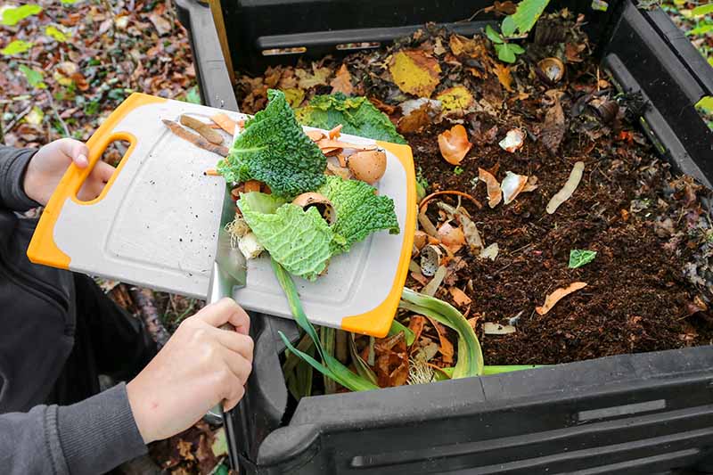 A close up horizontal image of a gardener placing kitchen scraps into a plastic compost bin.