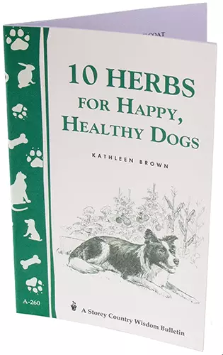 A close up of the book 10 Herbs for Happy Healthy Dogs isolated on a white background.