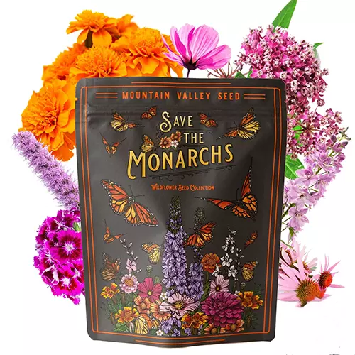 A close up of a packet of Save the Monarchs wildflower seeds with hand-drawn illustrations of flowers isolated on a white background.