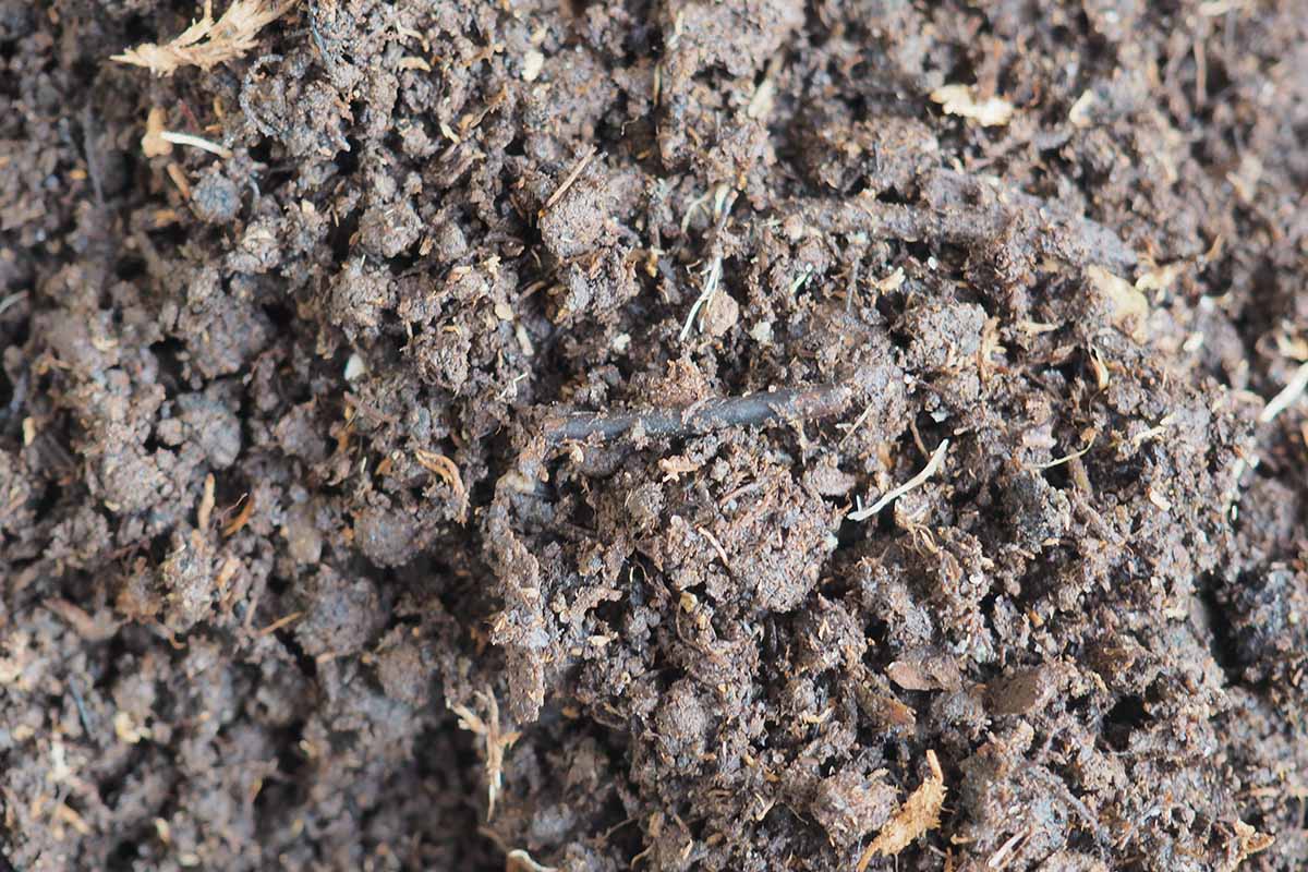 A close up horizontal image of potting soil for succulents.