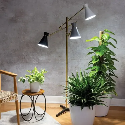 A square image of a collection of houseplants with an elegant three-arm adjustable light and a chair to the left of the frame.