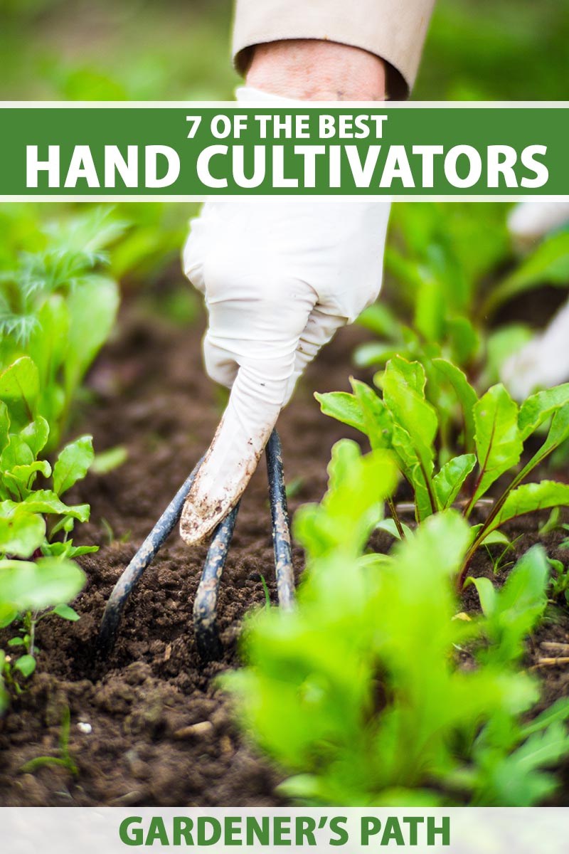 A close up vertical image of a gloved hand using a hand cultivator tool to rake the soil in the vegetable garden. To the top and bottom of the frame is green and white printed text.