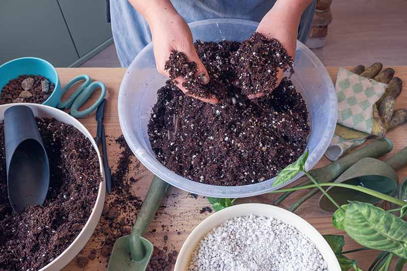 A close up horizontal image of a gardener mixing potting soil in a bowl indoors on a wooden surface.