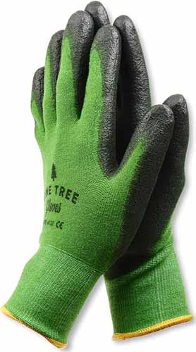 A close up of a pair of green and black gardening gloves from Pine Tree Tools isolated on a white background.