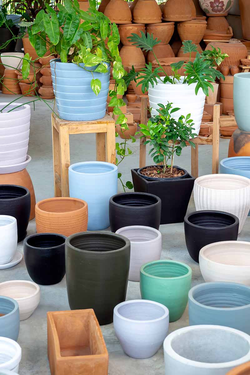 A vertical image of a selection of different pots and planters in terra cotta, glazed ceramic, and plastic.