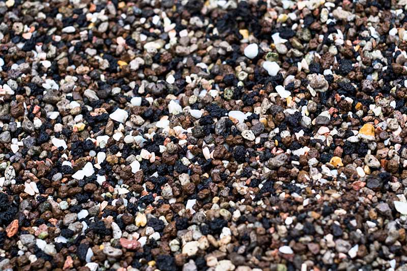 A close up horizontal background image of the soil mix for growing bonsai.