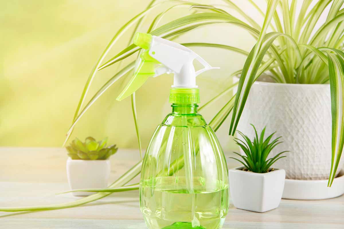 A close up horizontal image of a green spray bottle with houseplants behind it in soft focus.