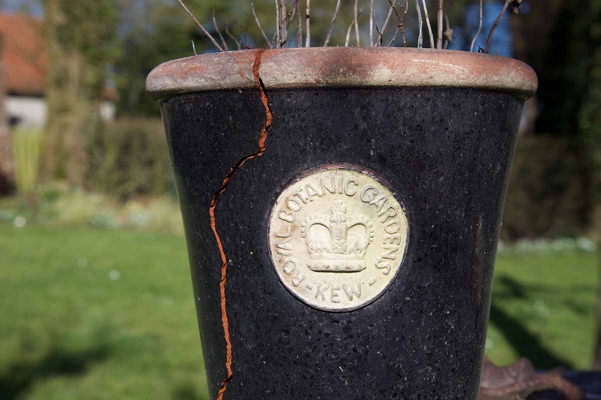 A close up of a terra cotta pot that has cracked from top to bottom as a result of frost damage.