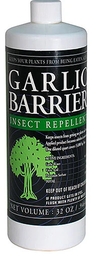 A bottle of Garlic Barrier Insect Repellent isolated on a white background.