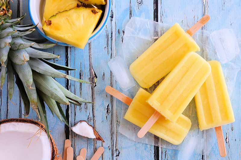 A close up horizontal image of frozen popsicles set on a wooden surface with coconut and pineapple slices.