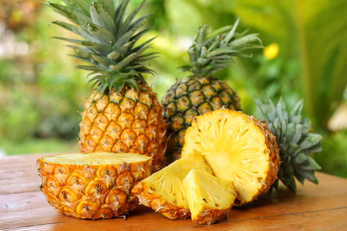 A close up horizontal image of whole and sliced pineapples set on a wooden surface pictured on a soft focus background.