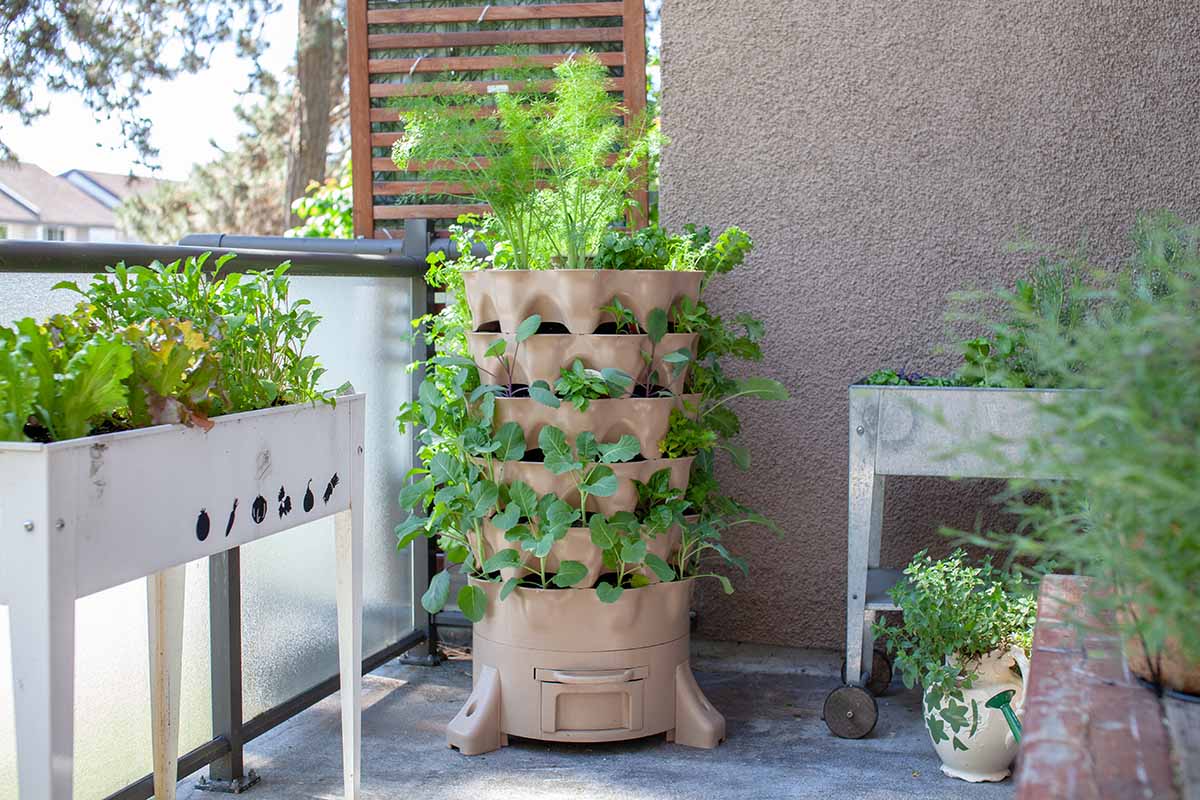 A horizontal image of a balcony garden with rectangular containers and an upright vertical planter growing a variety of different herbs and lettuce.