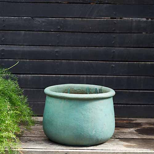 A square image of a roll-top low ceramic planter set outside on a wooden surface.