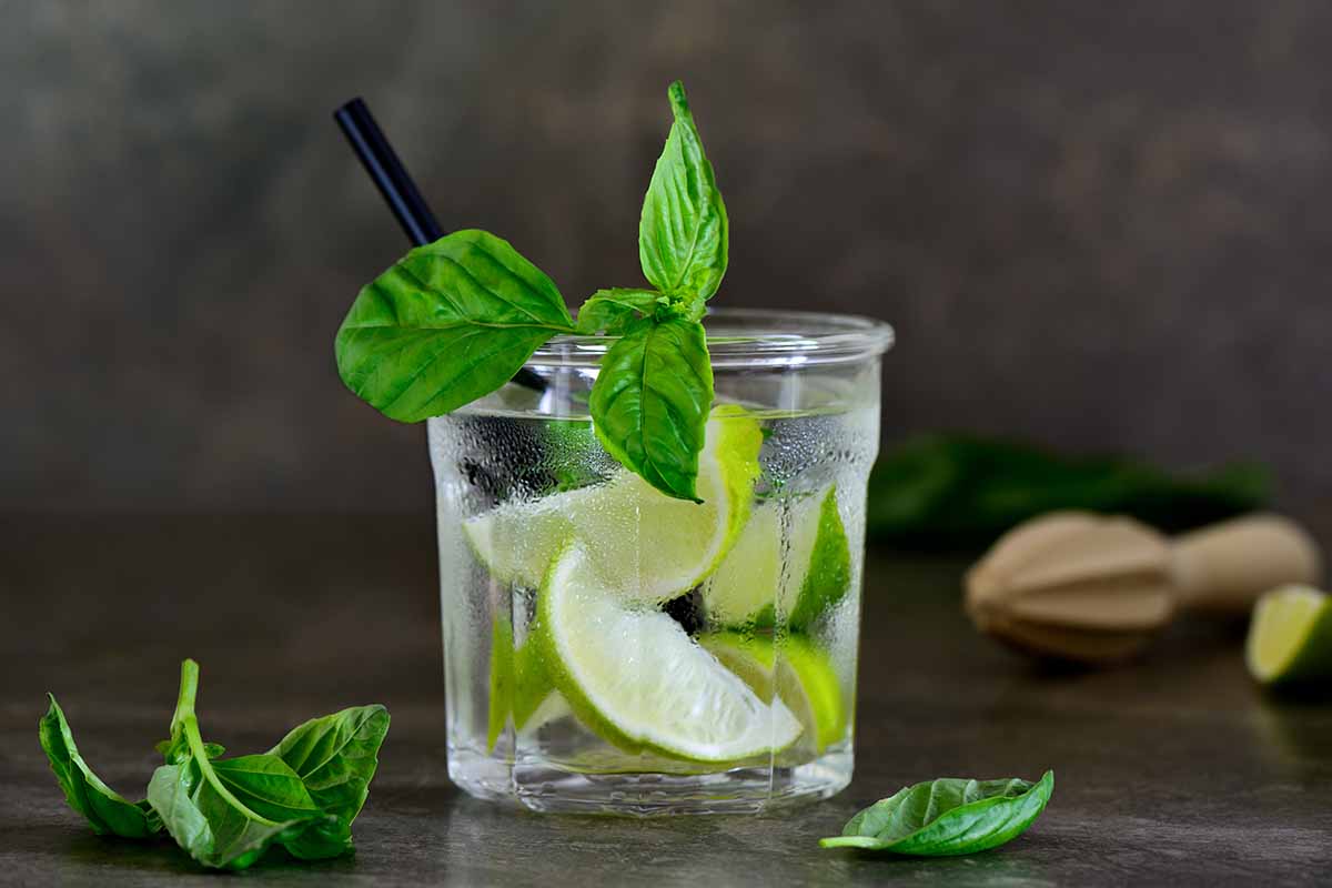 A close up horizontal image of a drink in a glass filled with lime segments and topped with basil leaves, set on a dark surface.