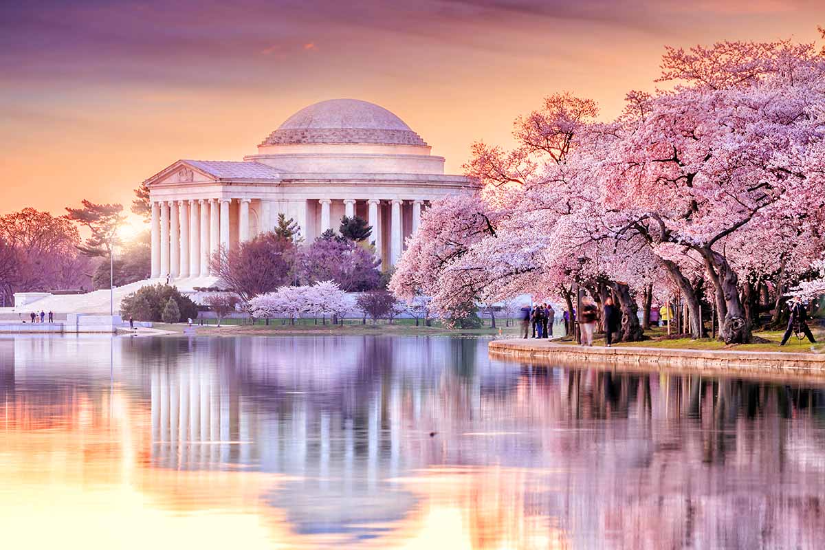 A horizontal image of the Jefferson Memorial during cherry blossom season, pictured in evening sunshine with the trees and buildings reflected in the lake.