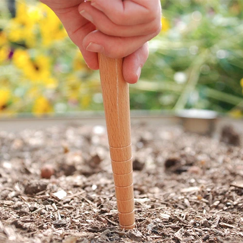 A square image of a hand from the top of the frame using a wooden dibber to measure how deep to sow seeds in the garden.