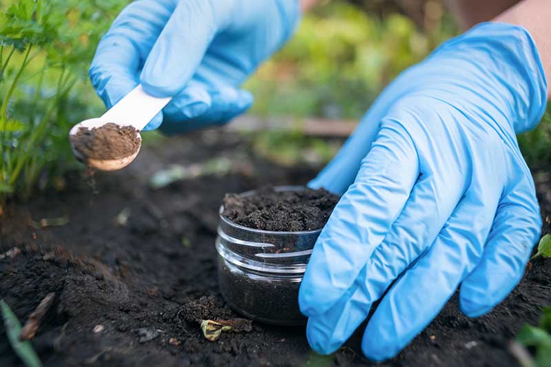 Uma imagem horizontal aproximada de mãos enluvadas tirando uma amostra de solo do jardim e colocando-a em uma jarra pronta para teste.