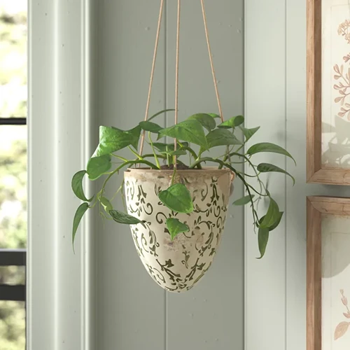 A square image of a ceramic pot suspended by rope with a small houseplant inside it.