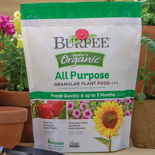 A close up square image of Burpee Natural and Organic All Purpose Granular Plant Food set on a wooden surface.