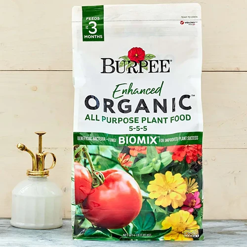 A close up of a bag of Burpee Enhanced Organic All Purpose plant food set on a countertop.