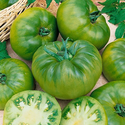A close up square image of 'Cherokee Green' tomatoes set on a wooden surface.