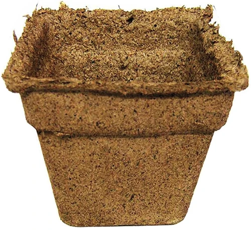 A close up of a biodegradable seed starting pot isolated on a white background.