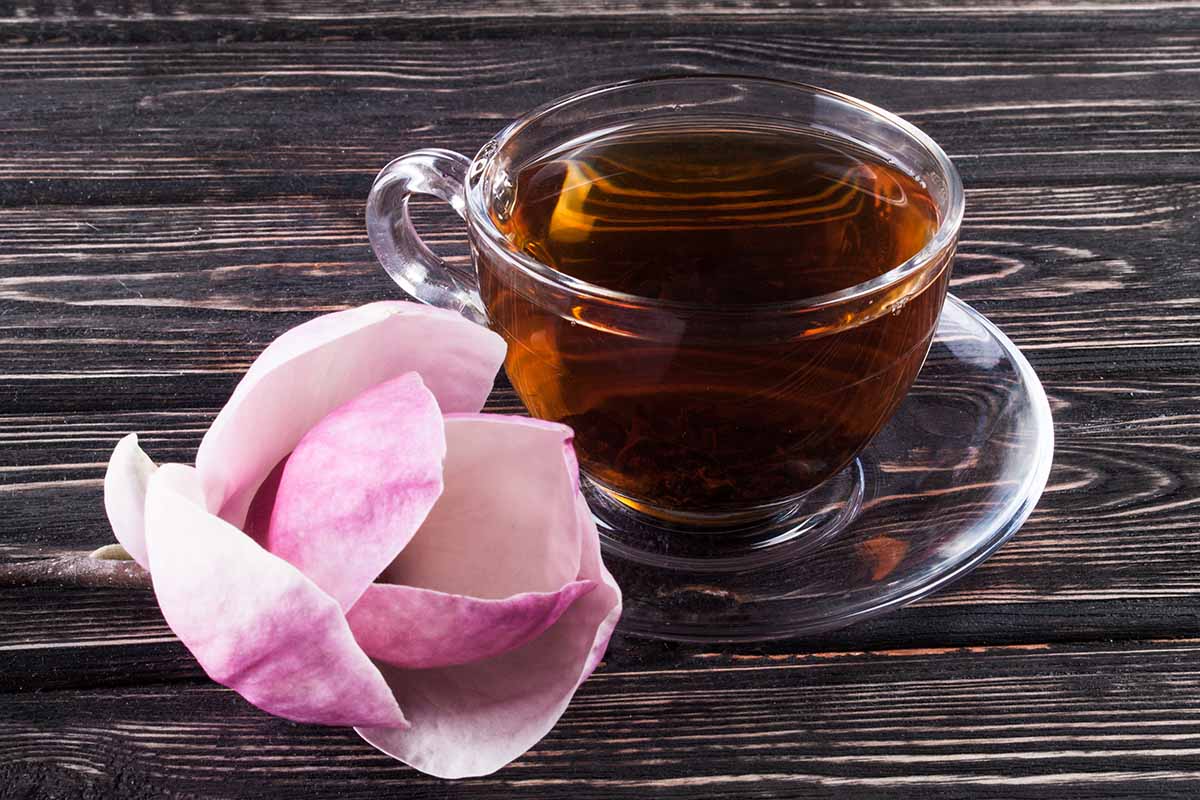 A close up horizontal image of a cup of black tea set on a wooden surface with a pink magnolia flower.