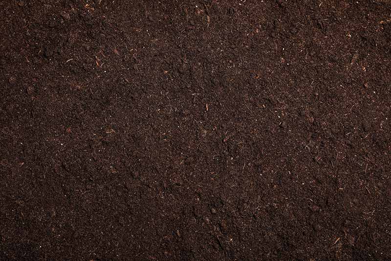 A close up image of dark, rich, organic soil.