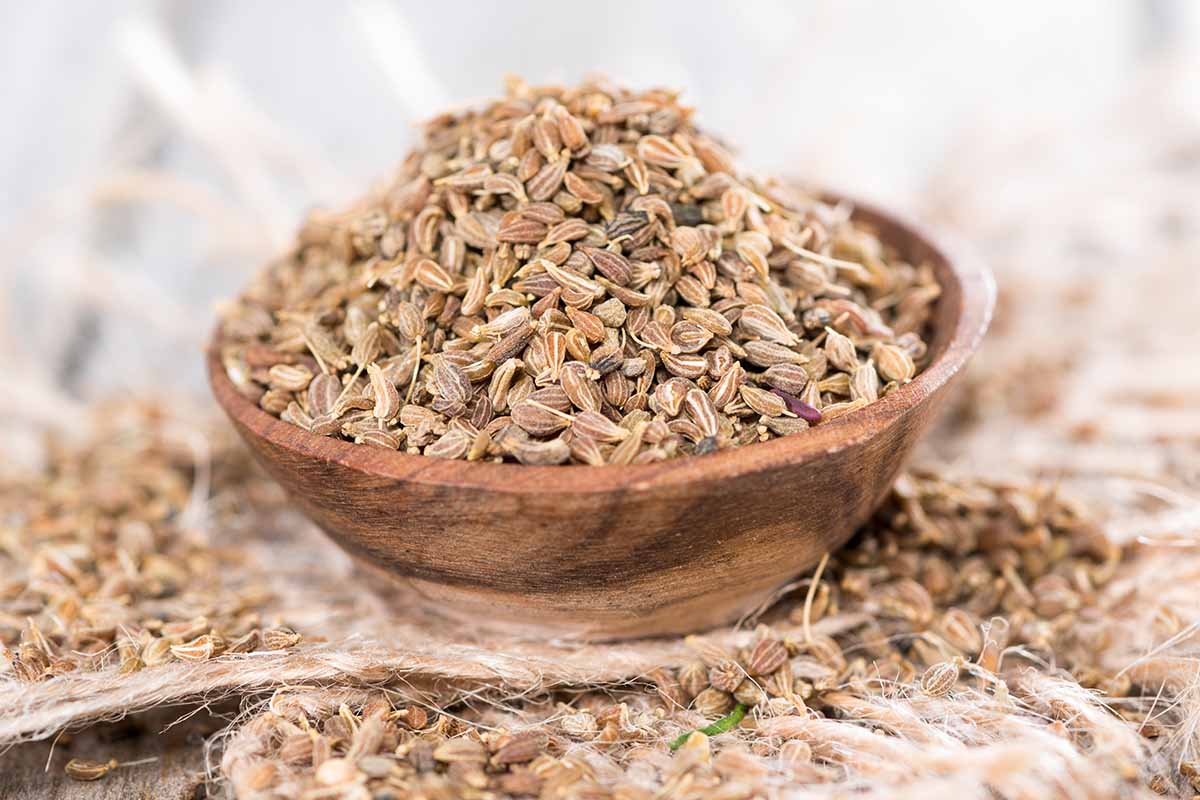 A close up horizontal image of a wooden bowl filled with dried aniseed set on a wooden table.