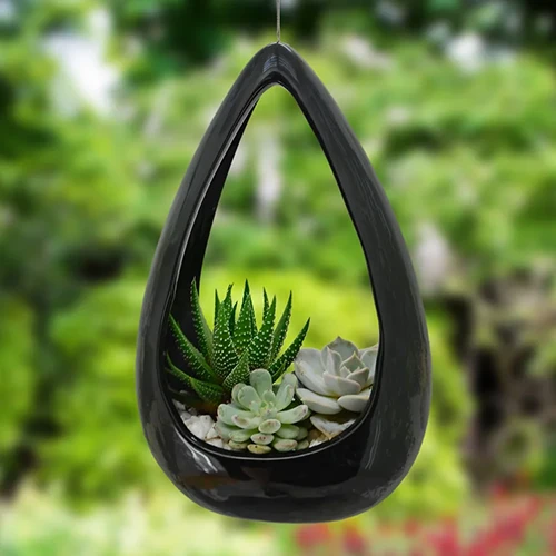 A close up of a ceramic teardrop-shaped planter with succulents growing inside, isolated on a soft focus background.