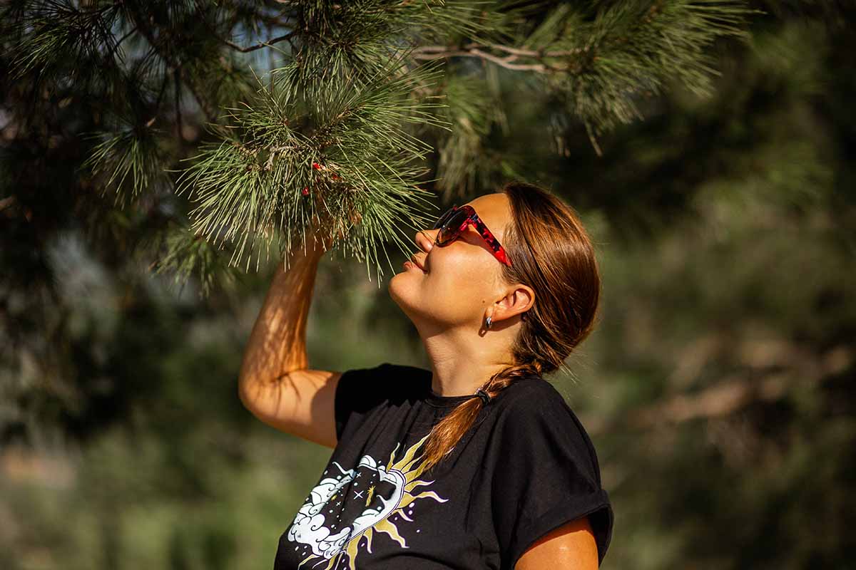 A close up horizontal image of a gardener inhaling the scent of a pine tree pictured in light sunshine on a soft focus background.